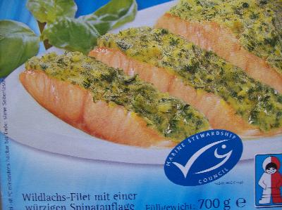 Wildlachsfilet